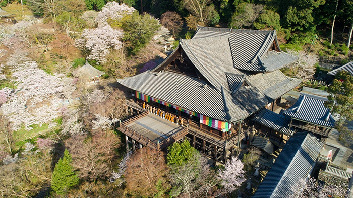 OSAKA - CHÙA HASE DERA - MOROU ART - SONI HIGHLAND